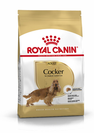 Cocker Adult